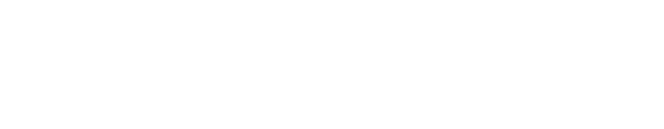 Logo von Flavio Marazzi