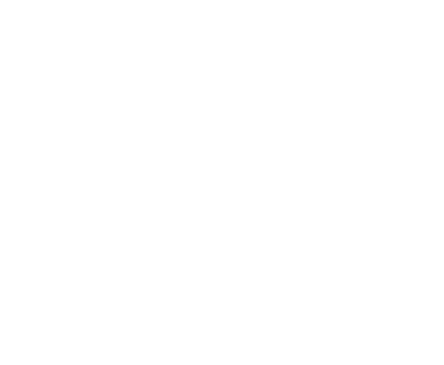 Flavio Marazzi Logo